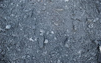 富源 大地上烏金奔涌，見證百萬年綠色夢想